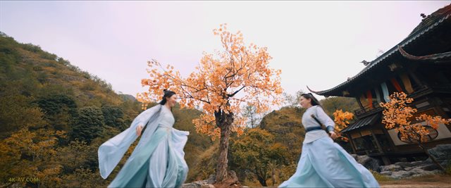 唐朝诡事录之西行 第34集