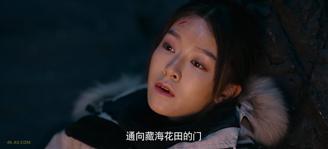 藏海花 第27集