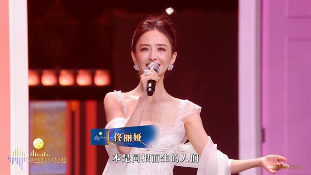 湾区升明月 2024大湾区电影音乐晚会