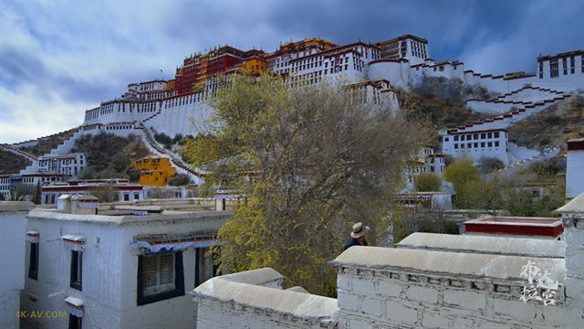 布达拉宫 第4集 愿有情