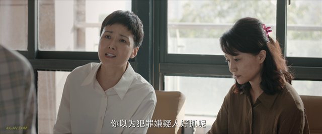 我是刑警 第17集