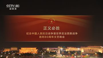 纪念中国人民抗日战争暨世界反法西斯战争胜利80周年文艺晚会海报